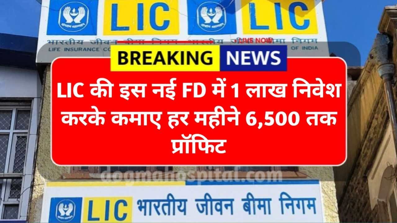 Lic Fd Scheme